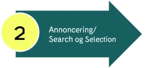 Search og Selection